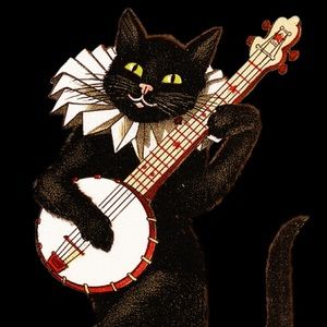 Meet your Posher, Carli